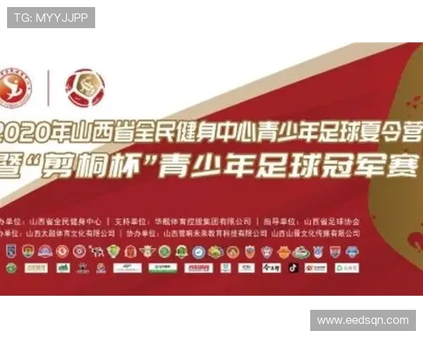 上海足球队精英赛征程回顾与突破成就的深度解析