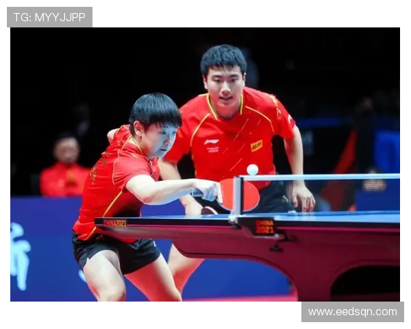 乒乓球的梦想与奋斗：广州乒乓球队成长历程的真实记录与反思