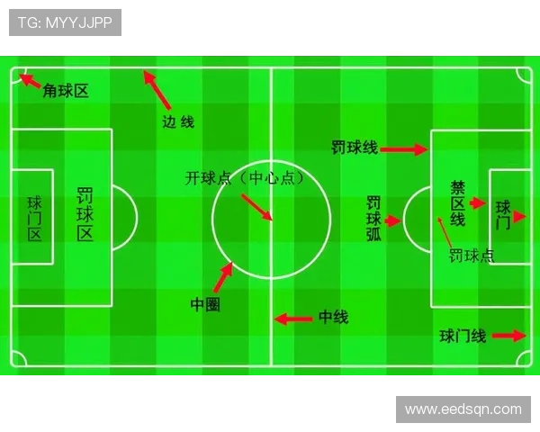 从零起步掌握足球技巧与战术全面指南助你成为球场明星