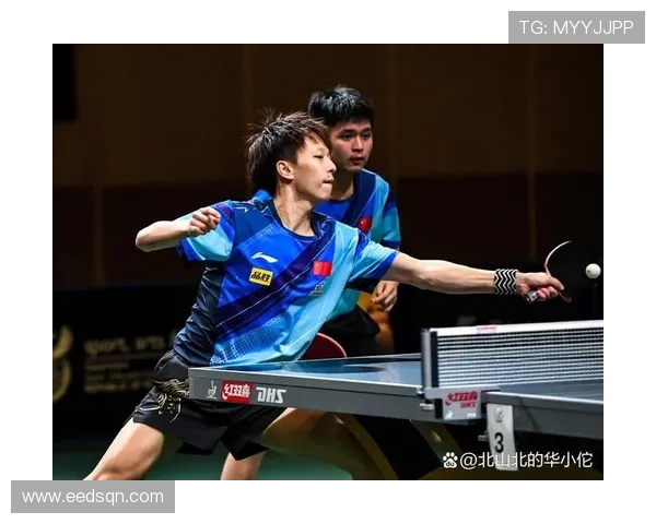 全国锦标赛回顾：南京乒乓球队战术分析与表现评估