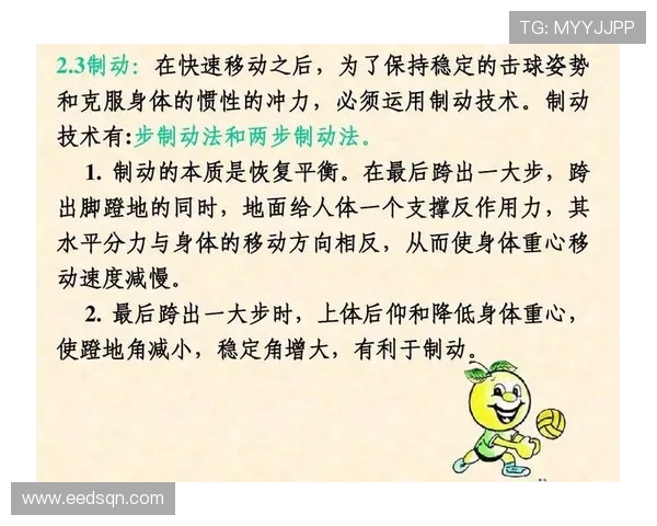 南京乒乓球队的速度之道：技术与战术的完美结合探讨