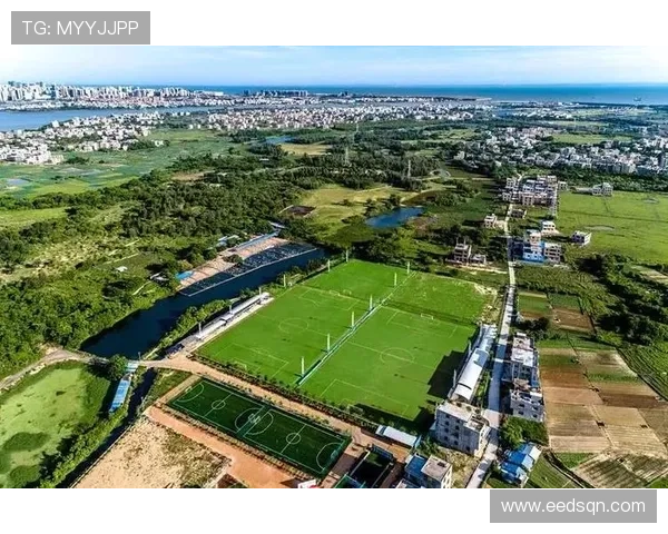 南京足球队的节奏探秘：从历史到未来的全面分析与展望