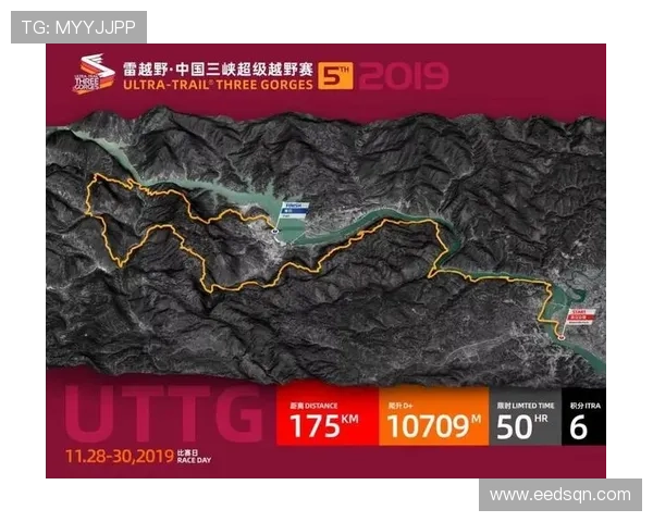 广州乒乓球队在世界杯预选赛中的辉煌历程与突破成就全景回顾