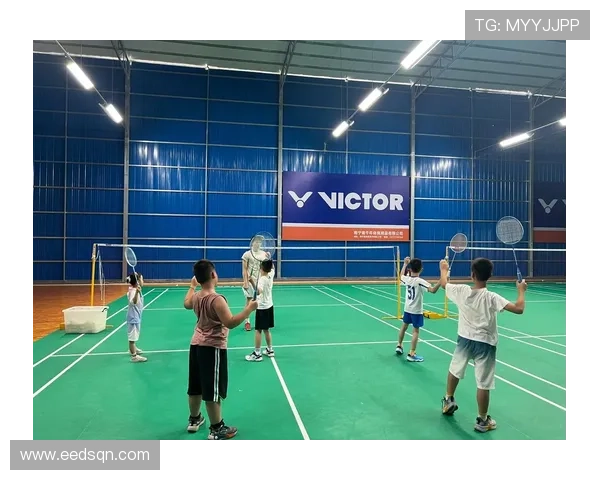 杭州羽毛球队引领最新羽毛球战术十大技巧解析与应用分享